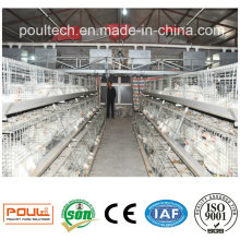 Automatic Poultry Layer Cage